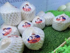 -东吴水韵(吴中店)