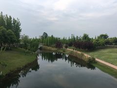 -眉山湿地公园(东坡区)