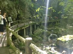 -牛背梁国家森林公园
