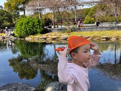 -蠡湖大桥公园