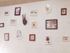 -重庆军科整形美容医院