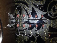 蜀中吴养生板栗鸡(会展店)-蜀中吴养生板栗鸡(会展店)