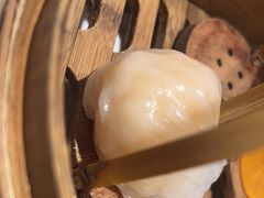 -金鼎轩(方庄天坛店)