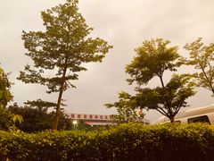 -福建省奥林匹克体育中心体育馆