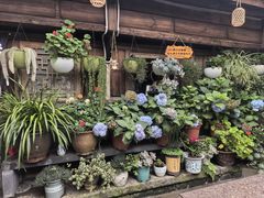 -龙姐私房菜(和顺古镇店)