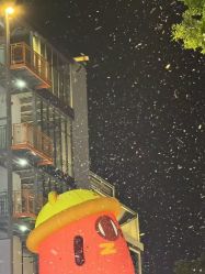 -Kraemer Paris苏豪路易士·嘉玛发廊