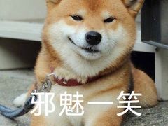 -宏宴·新京菜(望京店)