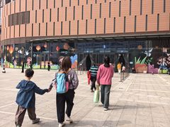 -中国宋庆龄青少年科技文化交流中心