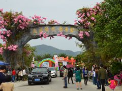 -天适樱花悠乐园