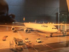 -德国汉莎航空公司