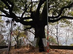 -吴山景区