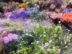 -循礼门鲜花花市(武汉循礼门店)