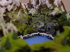 -慕可创意美学·定制CAKE·微景观蛋糕(总店)