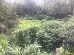 -前关湿地公园
