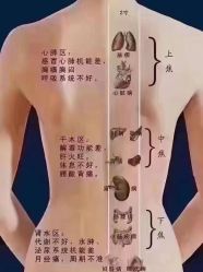 -香薇妮丝女子减肥院