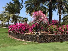 -海南鉴湖蓝湾高尔夫球会