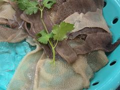 -重庆圣渝老火锅(掌起镇横街店)