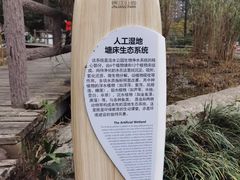 -成都市活水公园