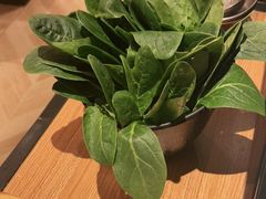 -东椰·海南椰子鸡火锅(朝阳门店)