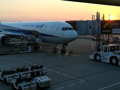 -全日本空输株式会社(上海办事处)