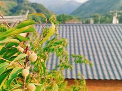 -云蒙山风景区