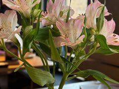 -一坐一忘云南菜(三里屯店)