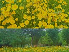 -滆湖低碳生态公园