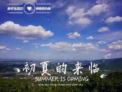 -阳台山自然风景区