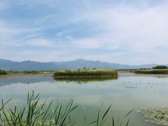 -野鸭湖国家湿地公园