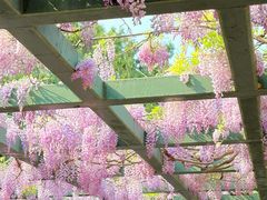 -北京市劳动人民文化宫(太庙)