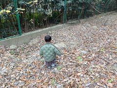 -喜杨洋草莓采摘园