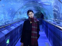 -厦门海底世界