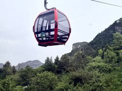 -王莽岭风景区