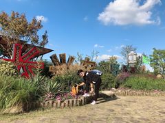 -上海长兴岛郊野公园