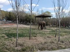 -哈尔滨北方森林动物园