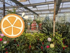 -南宫五洲植物乐园