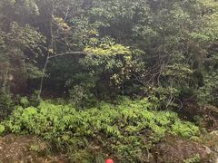 -江南大峡谷漂流