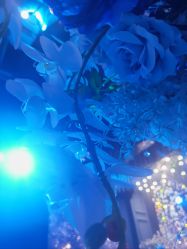 点击看大图 -格乐利雅婚礼艺术中心(南外滩店)