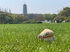 -宜兴龙背山森林公园