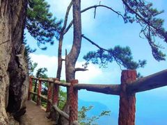 -沣峪森林公园龙潭戏水景区