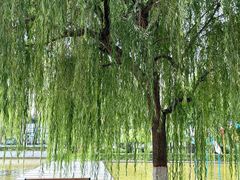 -西安汽车职业大学(临潼校区)