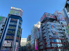 -秋叶原电器街