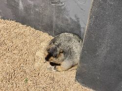 -酷嗒动物文化乐园(cutezoo西溪乐天城店)