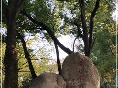 -上海方塔园