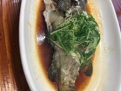 -顺德了能馆(虎门店)