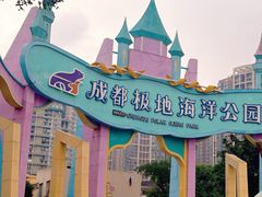 -海合安成都极地海洋公园
