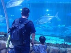 -华夏文旅海洋公园