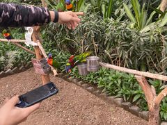 -南宫五洲植物乐园