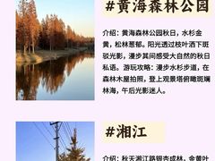 -黄海国家森林公园