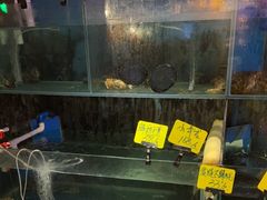 -辉记炭烧海鲜大排档·老字号(福田店)